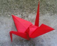 origami2.jpg