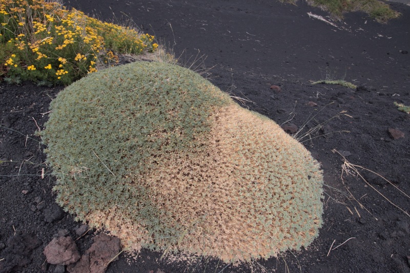 etna